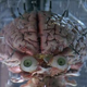 Image for article titled Fifty Shades of Gray Matter: The Most Malevolent Brain Monsters